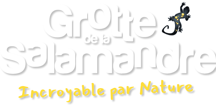 Logo grotte salamandre