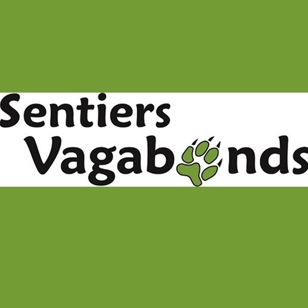 logo sv